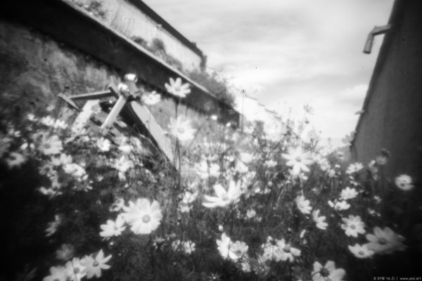 No Waking Dream