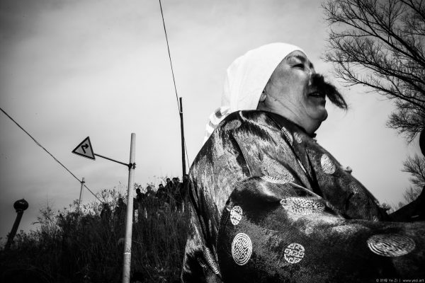 The OX King Festival